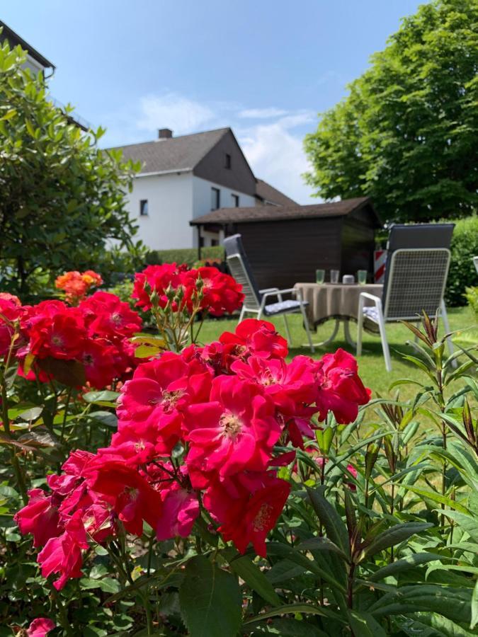 Tinytimeout Westerwald Ellar Luaran gambar